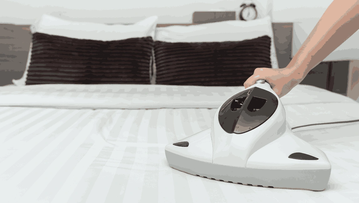 Professional Mattress Cleaning Bayswater